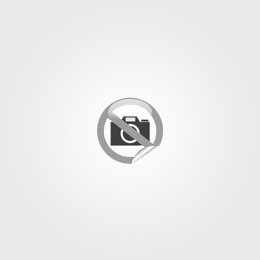 Organizational Behavior